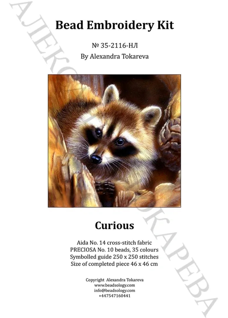 Curious - Bead Embroidery Kit